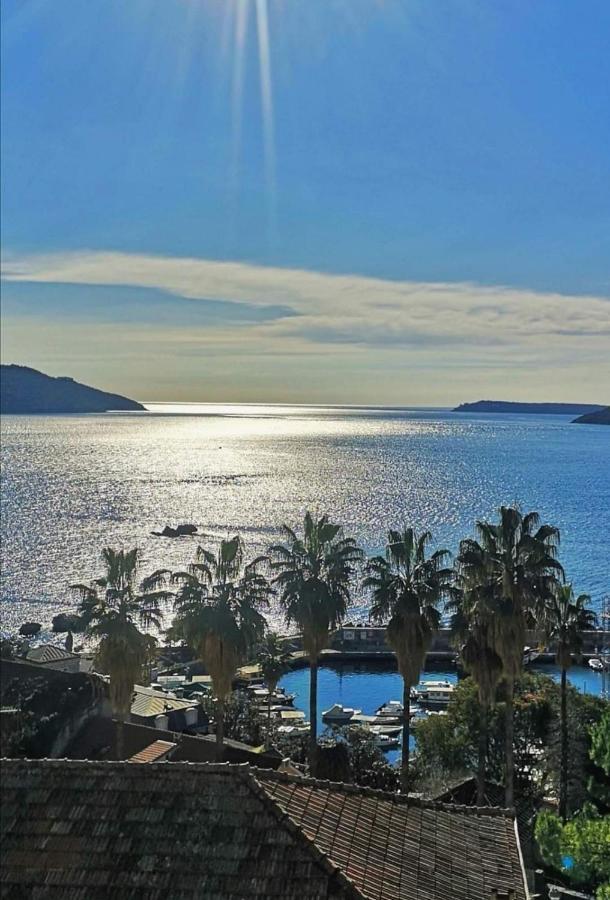 Apartments Dikan Herceg Novi Bagian luar foto